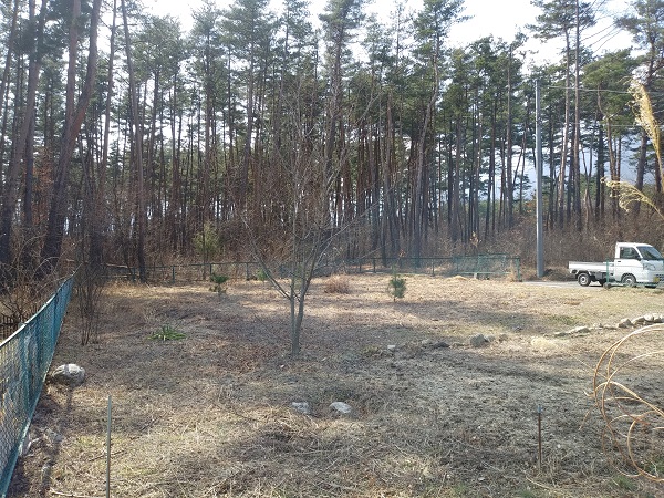 土地一覧 南ア観光開発 有 不動産 山梨 不動産売買 不動産仲介